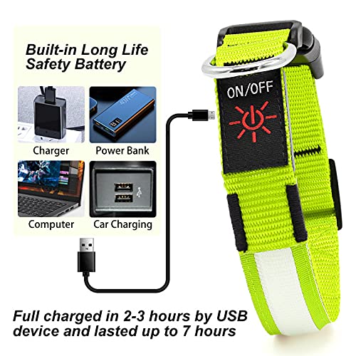 LED Reflective Dog Safety Collar – Pack of 3