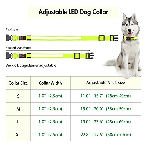 LED Reflective Dog Safety Collar – Pack of 3